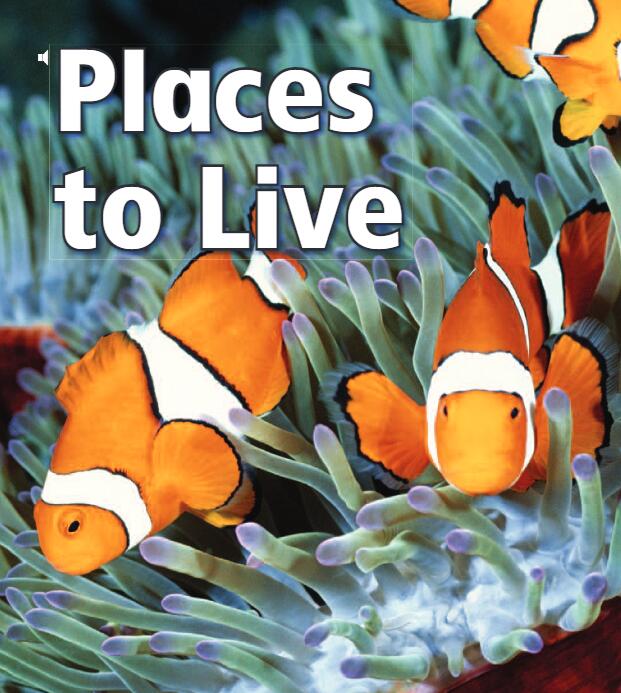 《Places to Live》兒童英語分級讀物pdf資源免費下載