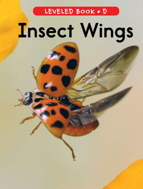 《Insect Wings》RAZ分級英文繪本pdf資源免費下載