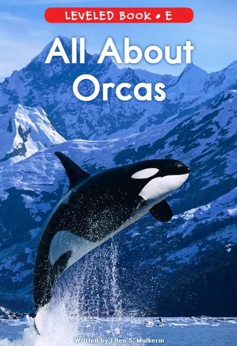 《All About Orcas》RAZ分級繪本pdf資源免費下載