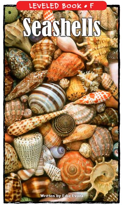 《Seashells》RAZ分級英語繪本pdf資源免費下載