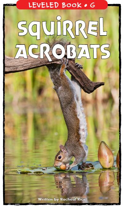 《Squirrel Acrobats》RAZ分級(jí)繪本pdf資源免費(fèi)下載