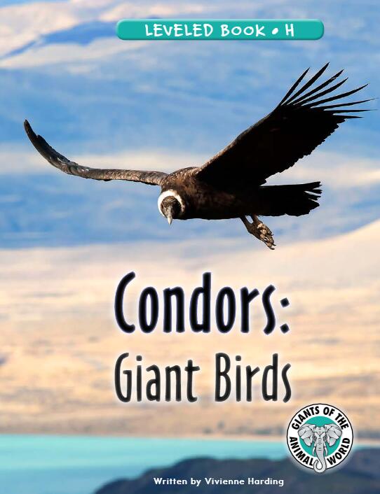 《Condors Giant Birds》RAZ分級(jí)繪本paf資源免費(fèi)下載