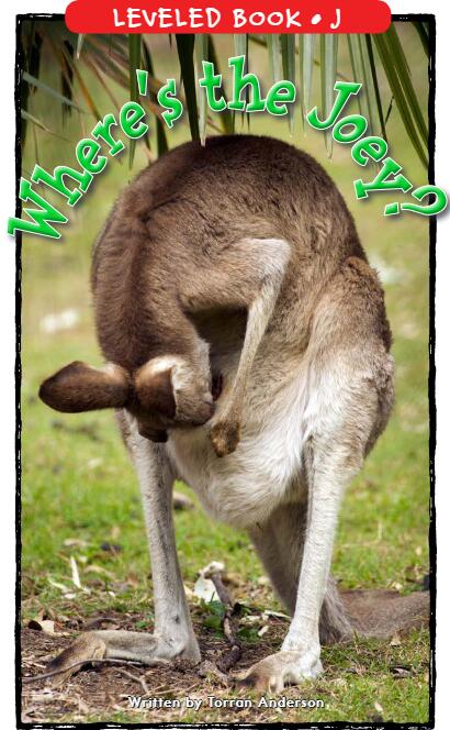 《Where's the Joey》RAZ分級繪本pdf資源免費下載