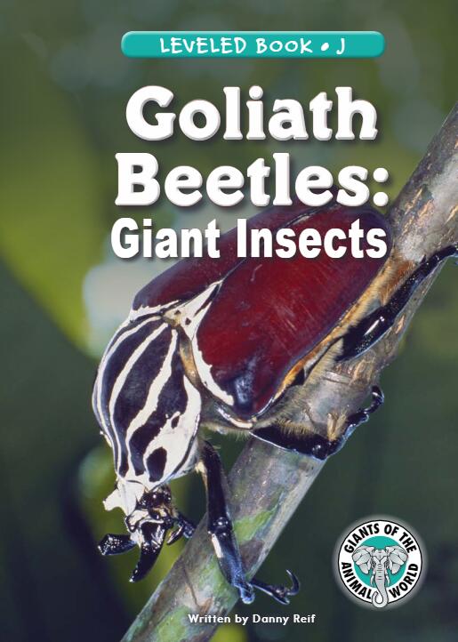 《Goliath Beetles:Giant Insects》RAZ繪本pdf資源免費下載