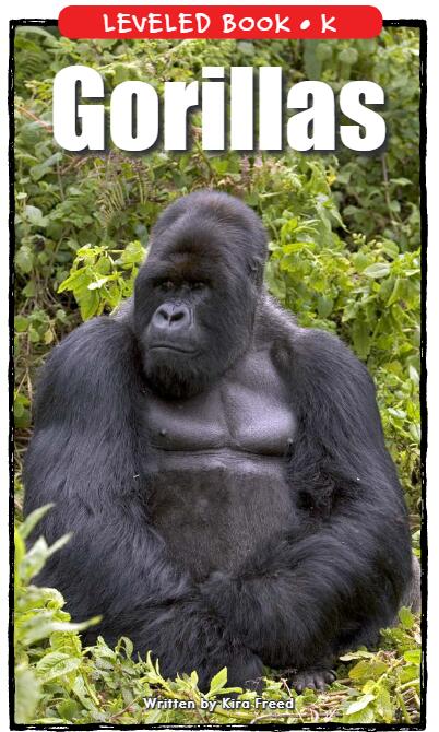 《Gorillas》RAZ分級英語繪本pdf資源免費下載
