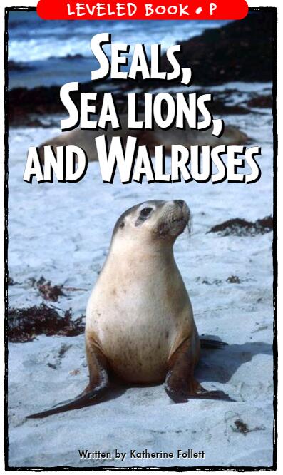 《Seals,Sea Lions,and Walruses》RAZ繪本pdf資源免費(fèi)下載