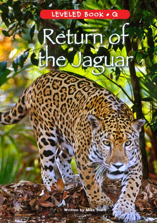 《Return of the Jaguar》RAZ分級繪本pdf資源免費下載