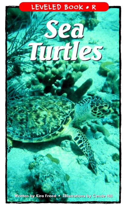 《Sea Turtles》RAZ分級繪本pdf資源免費下載