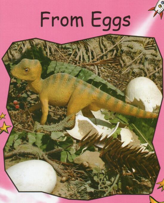 《From Eggs》紅火箭分級繪本pdf資源免費(fèi)下載