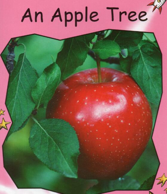 《An Apple Tree》紅火箭繪本pdf資源免費下載