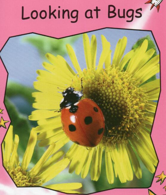 《Look After Pets》紅火箭分級繪本pdf資源免費下載