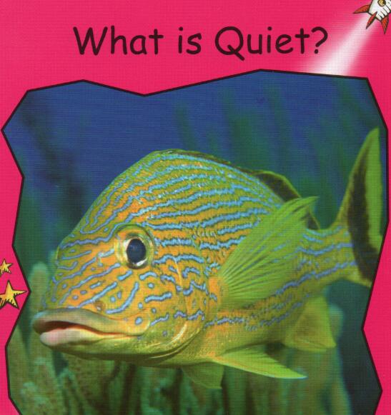 《What is Quiet》紅火箭分級閱讀繪本pdf資源免費下載