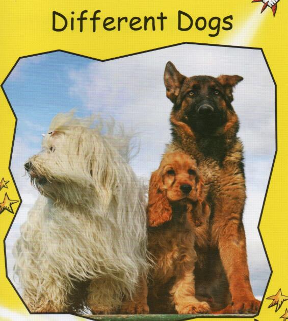 《Different Dogs》紅火箭分級閱讀繪本pdf資源免費下載