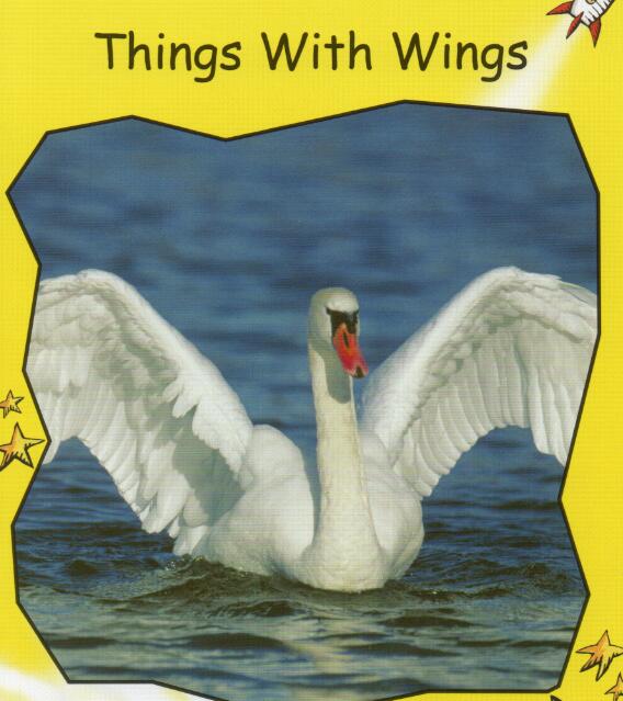 《Things With Wings》紅火箭分級閱讀pdf資源免費下載