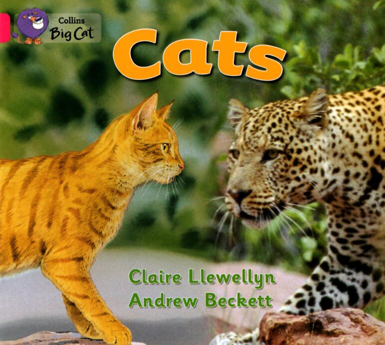 《Cats》大貓分級閱讀英文繪本pdf資源免費下載