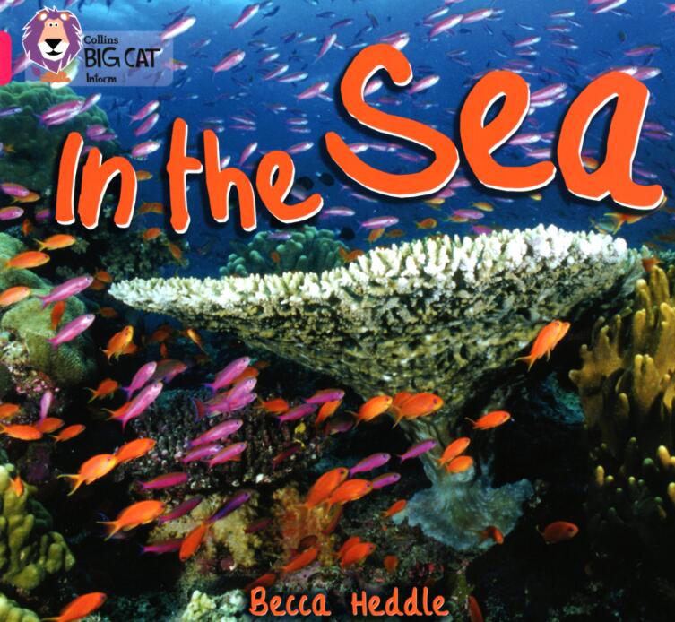 《In The Sea》大貓分級繪本pdf電子版資源免費(fèi)下載