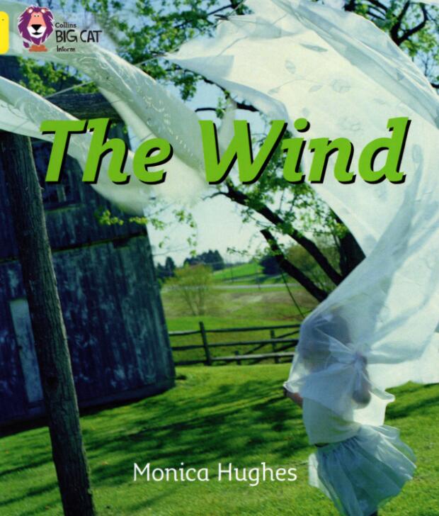 《The Wind》大貓英語分級繪本pdf資源免費下載