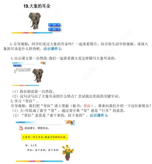 2021年部編版二年級(jí)第19課大象的耳朵教學(xué)設(shè)計(jì)彩圖文檔資源免費(fèi)下載