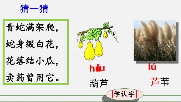 2021年部編版二年級上冊第14課《我要的是葫蘆》PPT課件免費下載