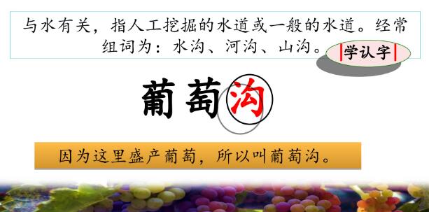 2021年部編版二年級上冊第11課《葡萄溝》PPT課件資源免費下載