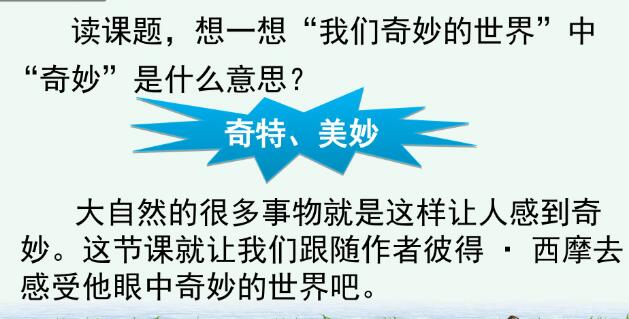 2021年部編版三年級(jí)下冊(cè)第22課《我們奇妙的世界》PPT課件免費(fèi)下載