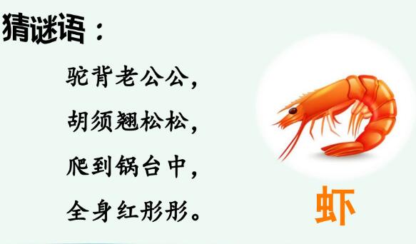 2021年部編版三年級下冊第15課《小蝦》PPT課件資源免費下載