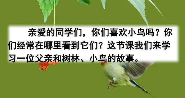 2021年部編版三年級上冊第23課《父親、樹林和鳥》PPT課件免費下載