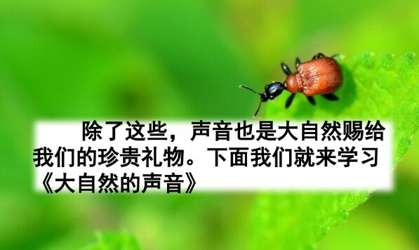 2021年部編版三年級上冊第21課《大自然的聲音》PPT課件免費下載