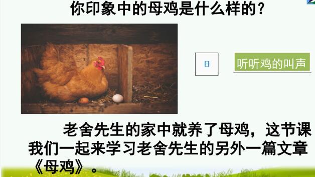 2021年部編版四年級下冊第14課《母雞》PPT課件資源免費下載