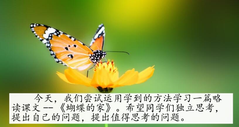 四年級上冊第8課《蝴蝶的家》PPT課件資源免費下載