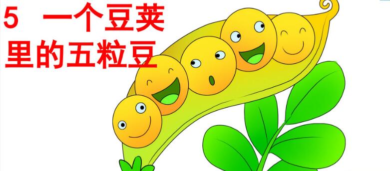 四年級上冊第5課《一個豆莢里的五粒豆》PPT課件資源免費下載