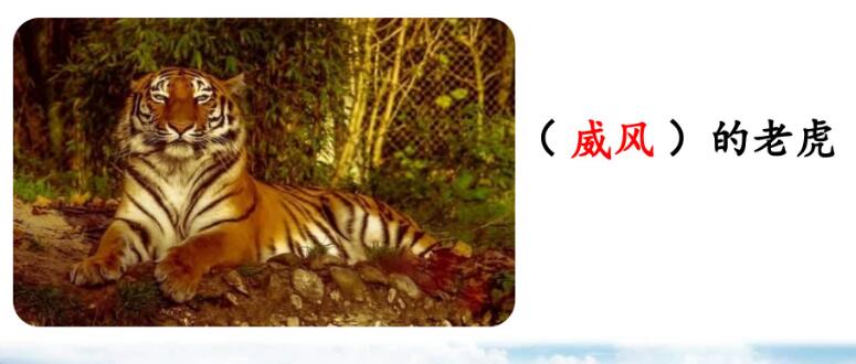 四年級上冊第19課《一只窩囊的大老虎》PPT課件免費下載