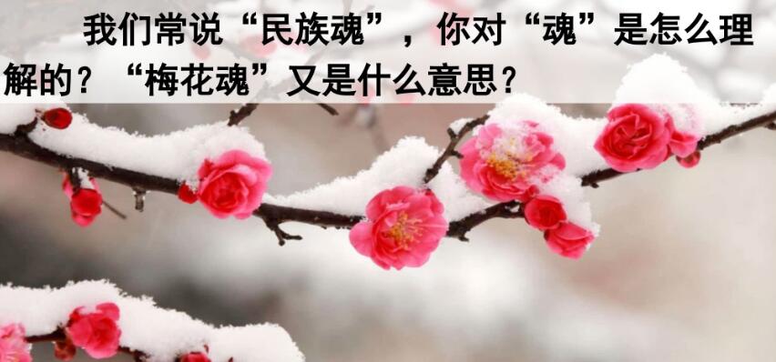 五年級下學期第4課《梅花魂》PPT課件資源免費下載