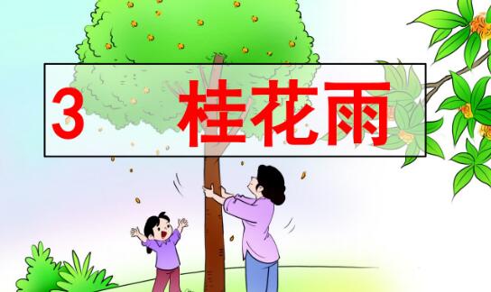 五年級上冊第3課《桂花雨》PPT課件資源免費下載