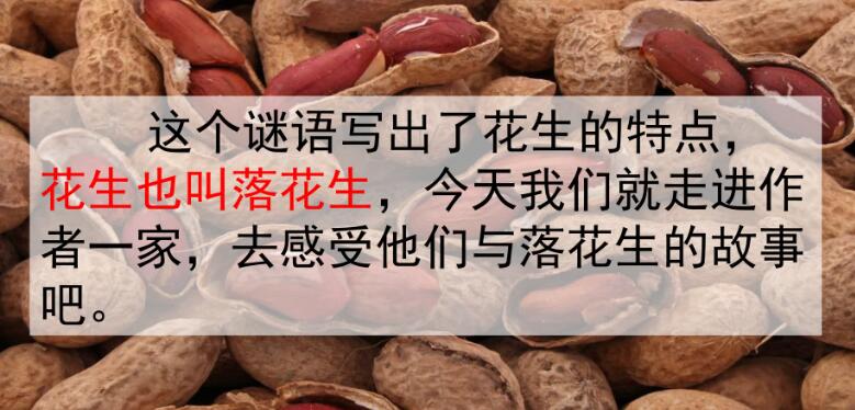 五年級上冊第2課《落花生》PPT課件資源免費下載