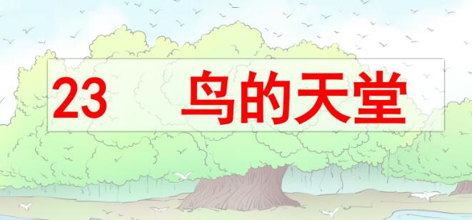 五年級上冊第23課《鳥的天堂》PPT課件資源免費下載