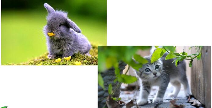 五年級(jí)上冊(cè)五單元習(xí)作:介紹一種事物PPT課件免費(fèi)下載