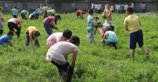 六年級上冊二單元習作:多彩的活動PPT課件免費下載