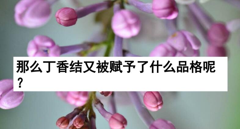 六年級上冊第2課《丁香結》PPT課件百度網盤資源免費下載