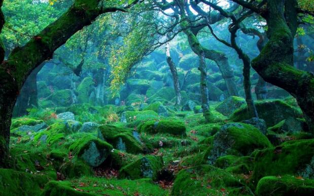 二年級下冊第23課《祖先的搖籃》PPT課件資源免費下載