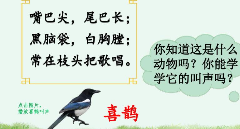 二年級下冊第9課《楓樹上的喜鵲》PPT課件資源免費下載