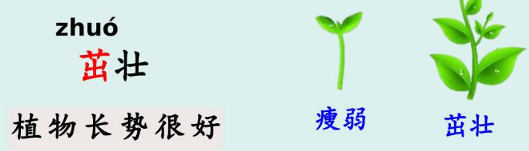 二年級下冊第4課《鄧小平爺爺植樹》PPT課件免費下載