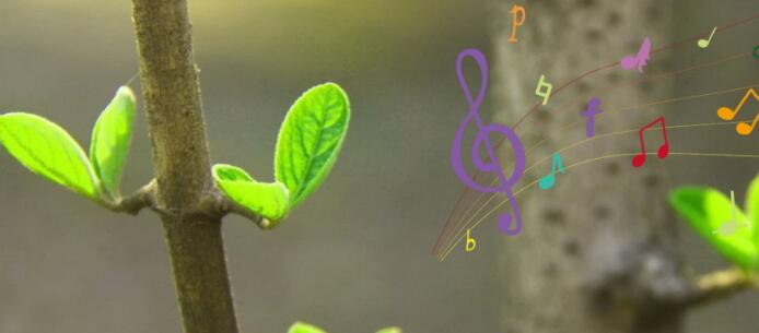 二年級下冊第2課《找春天》PPT課件百度網盤資源免費下載