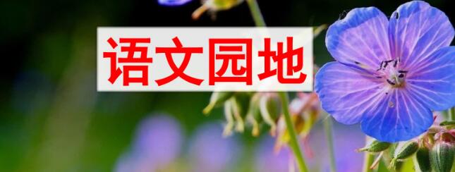 六年級(jí)上冊(cè)第三單元語(yǔ)文園地PPT課件資源免費(fèi)下載