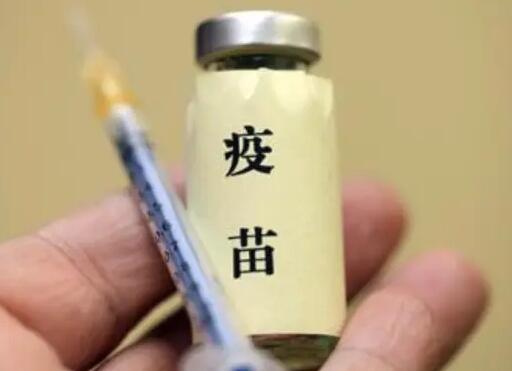 疫苗接種完多久健康碼變金色