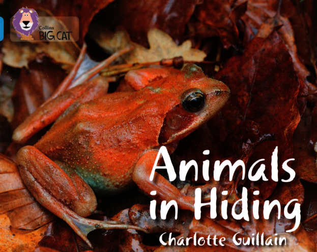 大貓英語分級閱讀1-11級電子版+音頻百度網盤免費下載