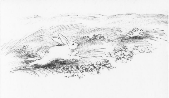 The Runaway Bunny英文繪本電子版+音頻免費下載