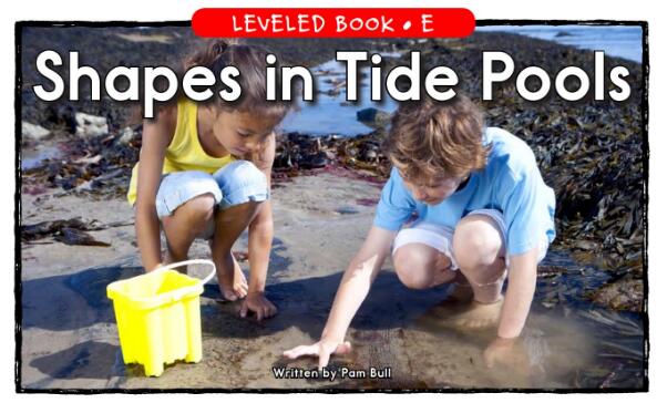 《Shapes in Tide Pools》RAZ分級閱讀E級繪本pdf資源下載