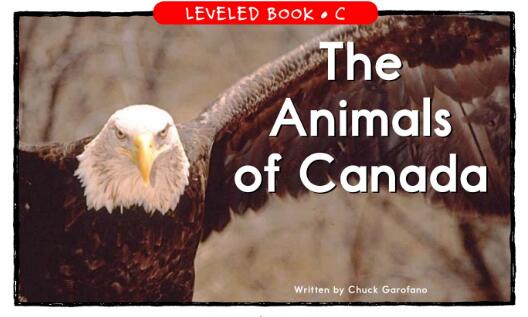 《The Animals of Canada》繪本翻譯及pdf資源下載