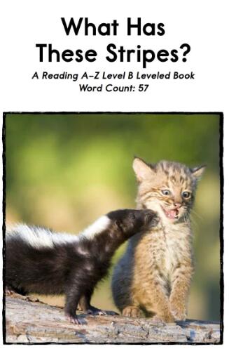 《What Has These Stripes》繪本翻譯及pdf資源下載